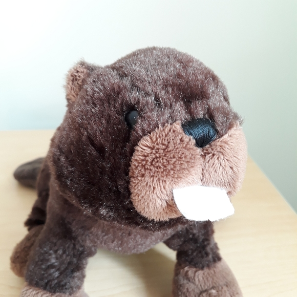 Webkinz brown beaver stuffie - Picture 6 of 7